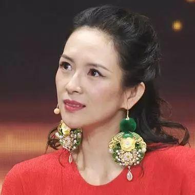 章子怡整容前后照片,章子怡以前照(章子怡脸部近照)