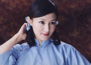 鲍蕾演过的电视剧,铁拳浪子 电视