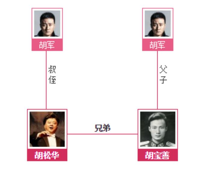 胡宝善和胡松华兄弟俩的头发都是假的吗
