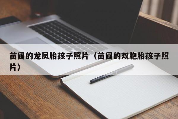 苗圃的龙凤胎孩子照片(苗圃的双胞胎孩子照片)