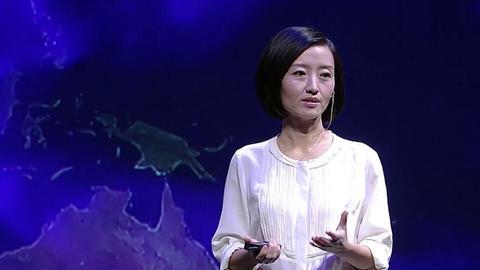 柴静小三,柴静老公(柴静到底怎么了)