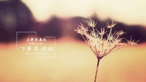 父母爱的格言短句