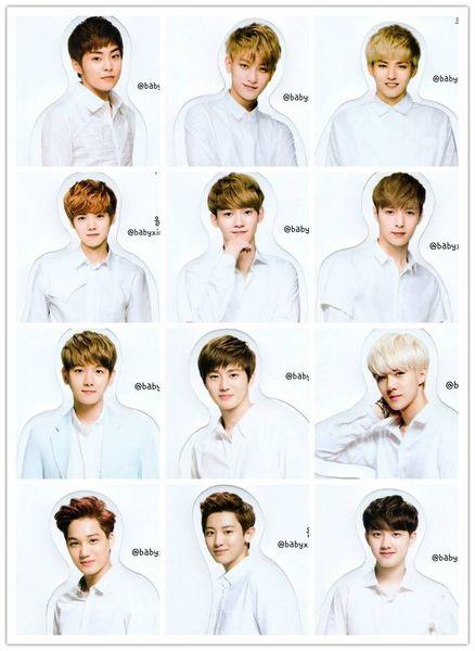 exo成员资料简介12人,exo(exo成员资料简介12人谁是队长)