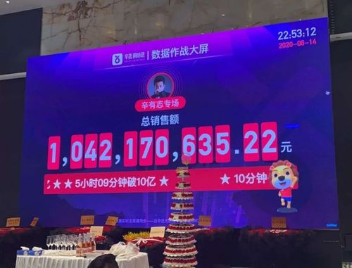 辛有志身价全国排名,辛巴钱多还是(辛巴志多少身价)
