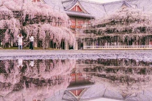 拟写一条母亲节短信