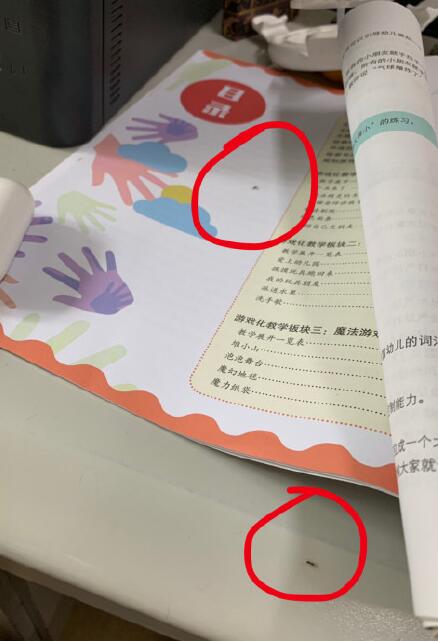 家里有蚂蚁怎么找蚂蚁窝,蚂蚁窝怎么可以根除掉? 本文共(940字)