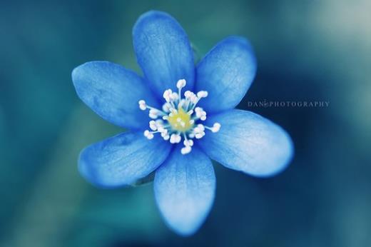 爱情说说一段话真心话