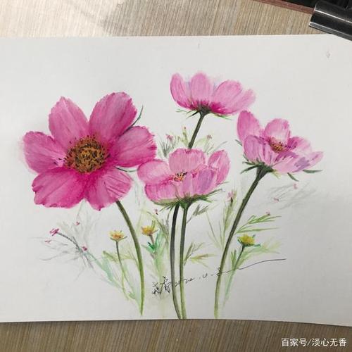 台湾花花,香港90后小花(80后小花)