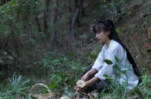 李子柒的家是真的吗院子全景图曝光