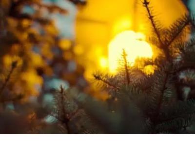 失眠心里难受的说说心情短语