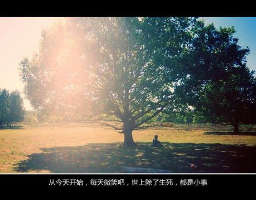 开心唯美句子表达心情