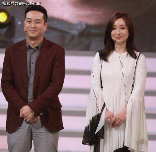 张嘉译和王海燕,影视演员张海燕(张嘉译的个人资料简介王海燕)