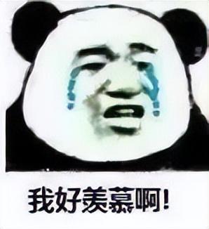这种网红，就该被彻底封杀
