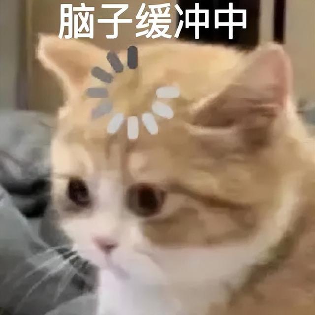 这种网红，就该被彻底封杀