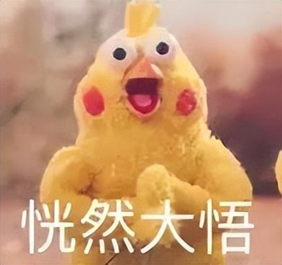 这种网红，就该被彻底封杀