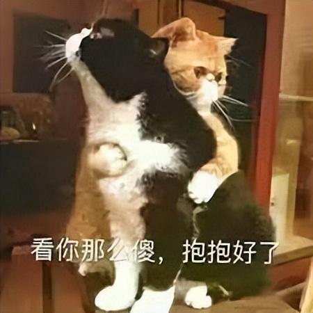 这种网红，就该被彻底封杀