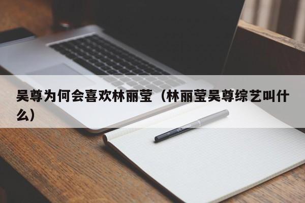吴尊为何会喜欢林丽莹(林丽莹吴尊综艺叫什么)