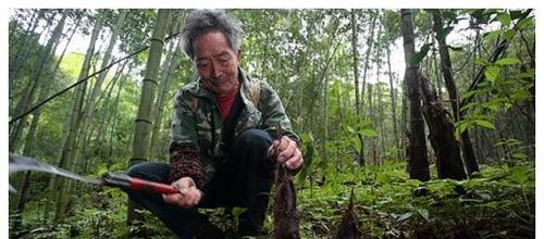 王卓实的老婆,费玉清的老婆叫什么(王卓的媳妇是谁)