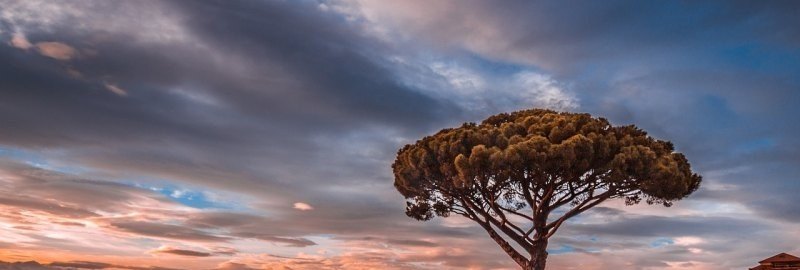 不怕辣的歌曲_不怕不怕辣是什么歌 不怕辣的歌曲_不怕不怕辣是什么歌 - 爱唱歌