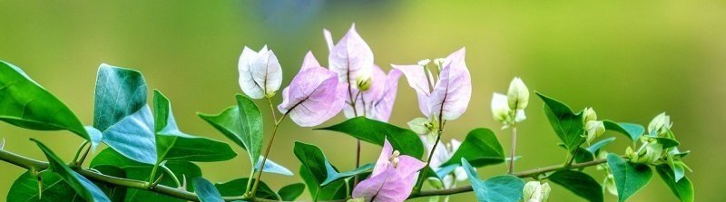 说唱新世代播出到完结的时间,燃炸主题曲 说唱新世代播出到完结的时间,燃炸主题曲 - 爱唱歌