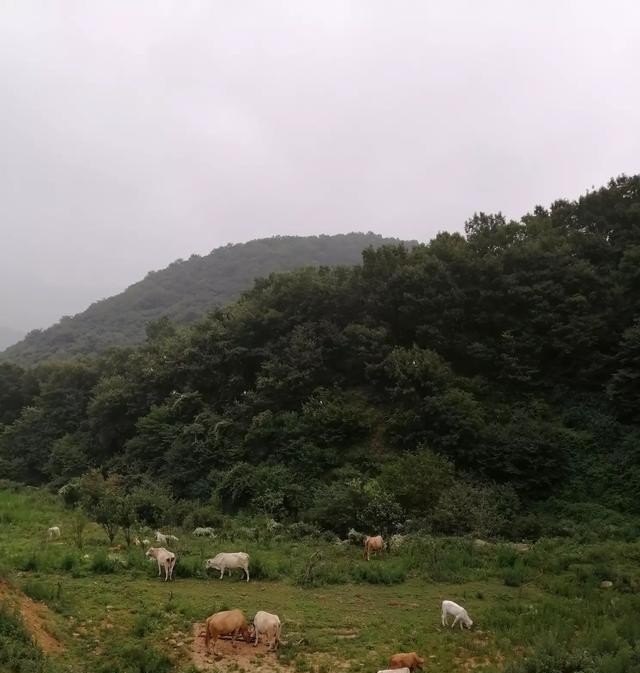 形容唱歌唱得好词语，唱歌技巧的词语 - 爱唱歌