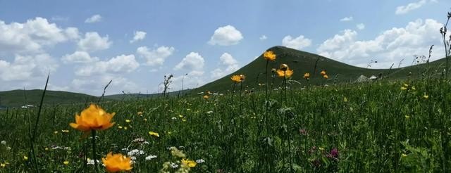 六七月份去哪旅游比较好呢,旅顺的网红歌手 六七月份去哪旅游比较好呢,旅顺的网红歌手 - 爱唱歌