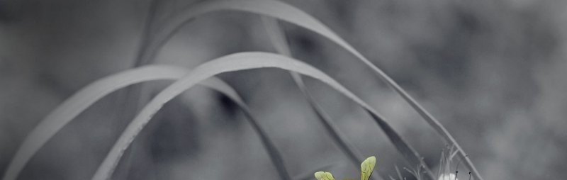 贵州方言那个给我说一下,要全面点的,谢谢,用贵州话唱流行歌曲的人 贵州方言那个给我说一下,要全面点的,谢谢,用贵州话唱流行歌曲的人 - 爱唱歌