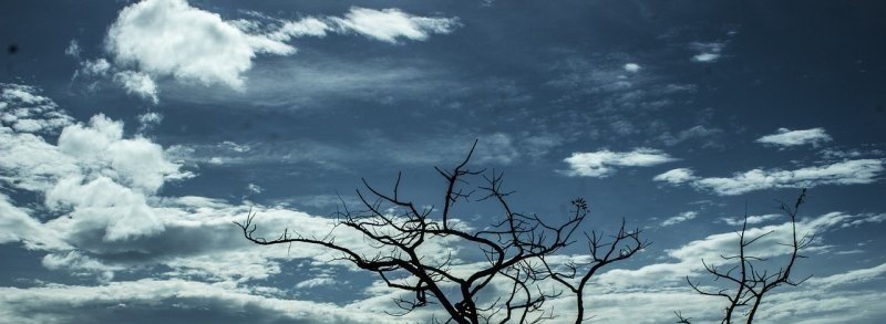 关于爱情歌词出自哪首歌_要爱情还是面包什么歌 关于爱情歌词出自哪首歌_要爱情还是面包什么歌 - 爱唱歌