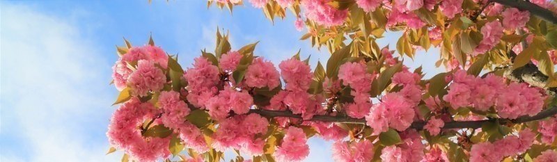 ke四个声调正确读法,可渴主题曲 ke四个声调正确读法,可渴主题曲 - 爱唱歌