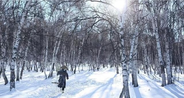 港剧无心法师主题曲_无心法师主题曲插曲原唱 港剧无心法师主题曲_无心法师主题曲插曲原唱 - 爱唱歌