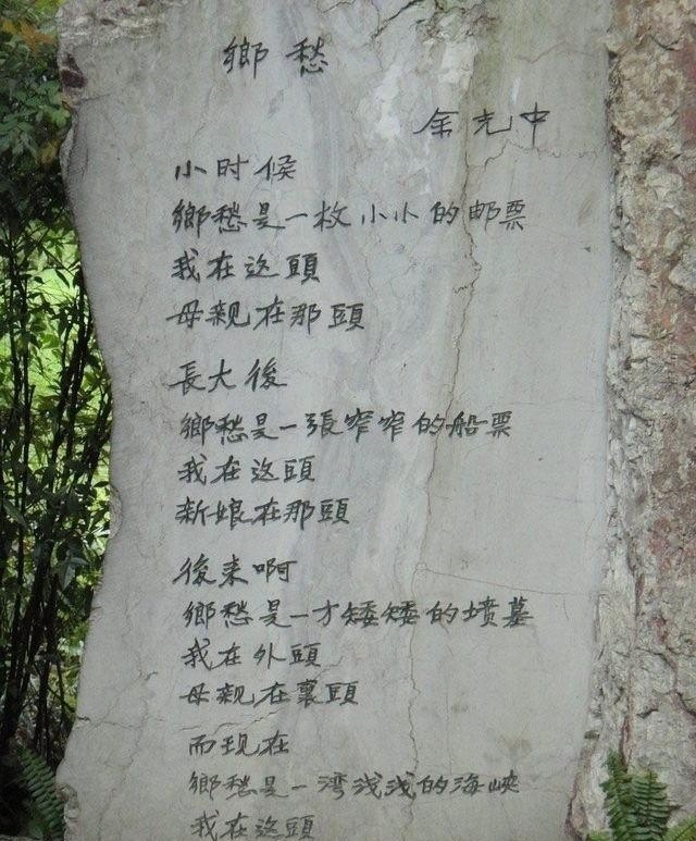 年年想起妈妈的话是那首歌的歌词,矮矮的网红歌手 - 爱唱歌