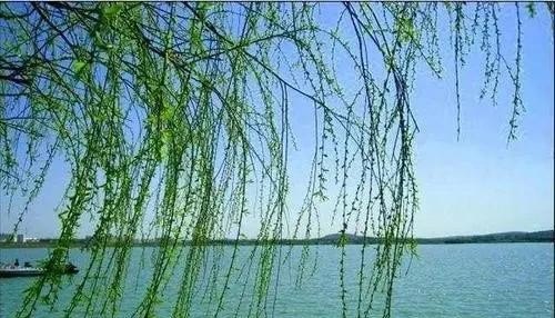 我很喜欢听哀乐，是不是有病,流行音乐治疗疾病 - 爱唱歌