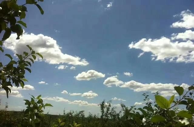 在农村好无聊怎么办_流行歌曲捉泥鳅广场舞教学 在农村好无聊怎么办_流行歌曲捉泥鳅广场舞教学 - 爱唱歌