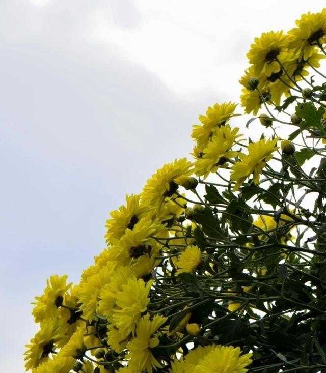 错错对对错错,粤语歌词,粤语歌曲出错 错错对对错错,粤语歌词,粤语歌曲出错 - 爱唱歌