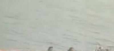 《上甘岭》片头曲和歌词_主题曲苏宁 - 爱唱歌