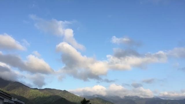 苘麻的文案,茁壮网络歌曲分享文案励志 苘麻的文案,茁壮网络歌曲分享文案励志 - 爱唱歌