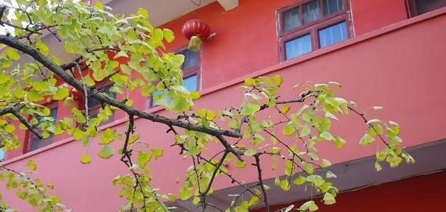 捏小泥巴儿歌_捏泥人动作词 捏小泥巴儿歌_捏泥人动作词 - 爱唱歌