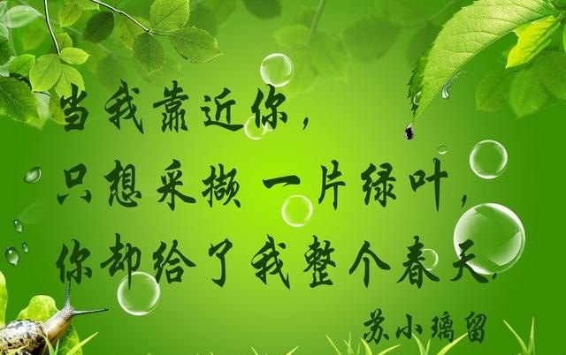残疾流浪歌手网络歌曲 - 爱唱歌