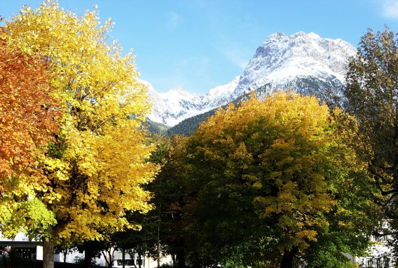 明月天涯夜青山江上秋赏析 - 爱唱歌