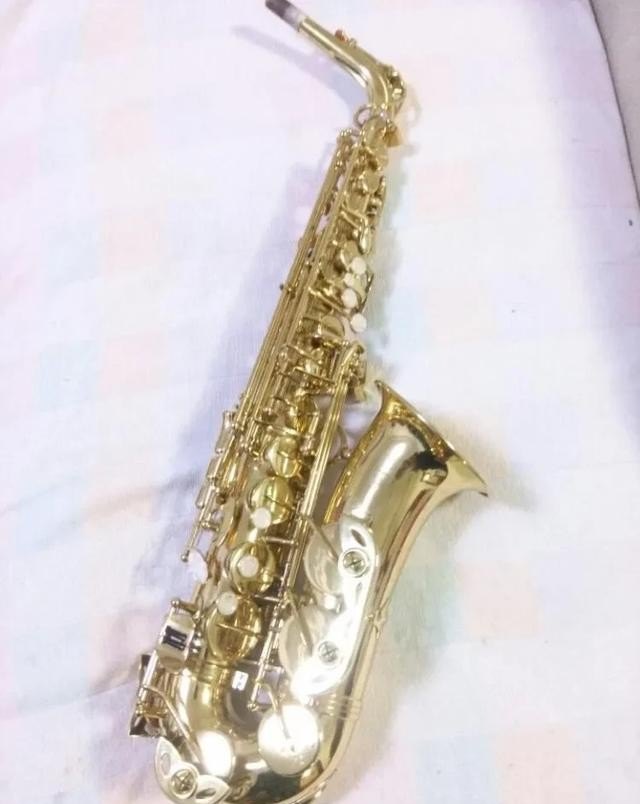 萨克斯选购中音还是次中音好 萨克斯选购中音还是次中音好 - 爱唱歌