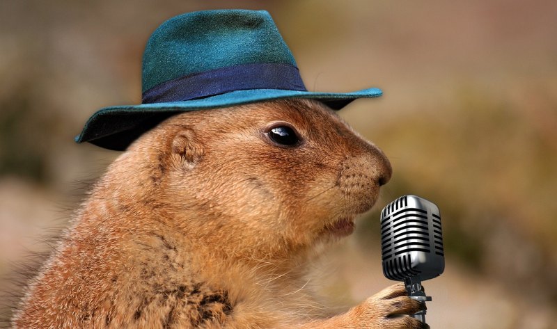 请问老鼠爱大米—这首歌到底是谁唱的 - 爱唱歌