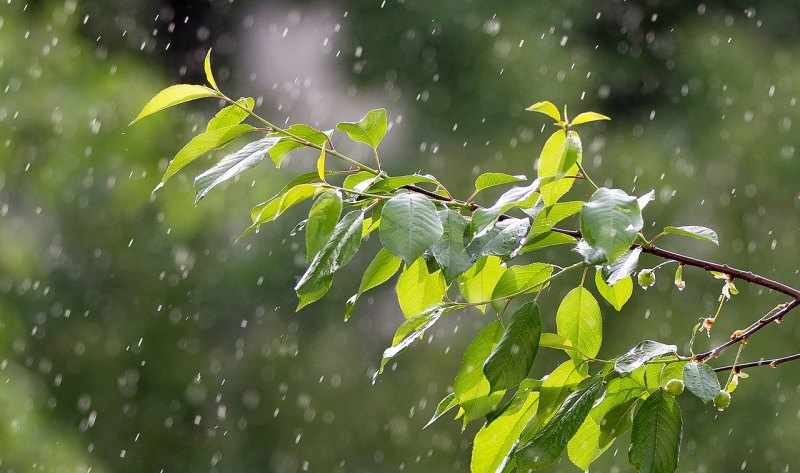 雨爱杨丞琳歌词是谁写的 雨爱杨丞琳歌词是谁写的 - 爱唱歌