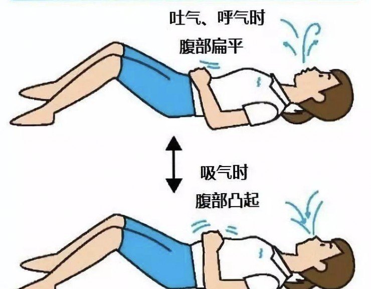 壁虎粤语怎么叫 壁虎粤语怎么叫 - 爱唱歌