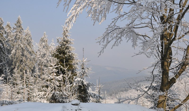除却君身三尺雪,天下谁人配白衣全诗 除却君身三尺雪,天下谁人配白衣全诗 - 爱唱歌