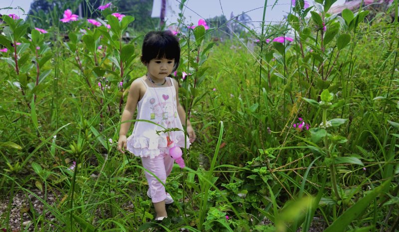 梅花三姐妹的结局怎样 梅花三姐妹的结局怎样 - 爱唱歌