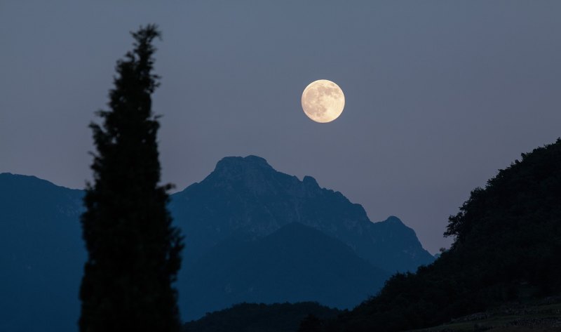 折服了整个华语乐坛 折服了整个华语乐坛 - 爱唱歌