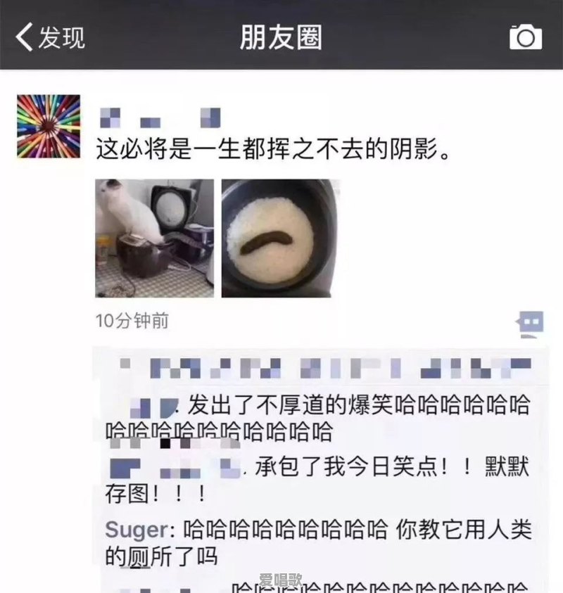你看过哪些笑掉大牙的朋友圈 你看过哪些笑掉大牙的朋友圈 - 爱唱歌