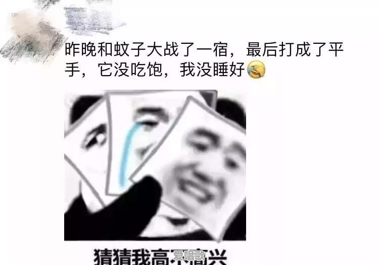 你看过哪些笑掉大牙的朋友圈 你看过哪些笑掉大牙的朋友圈 - 爱唱歌