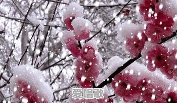 为什么都说逃离北上广，为什么没有深圳呢？难道深圳在一线城市中最轻松的吗 - 爱唱歌