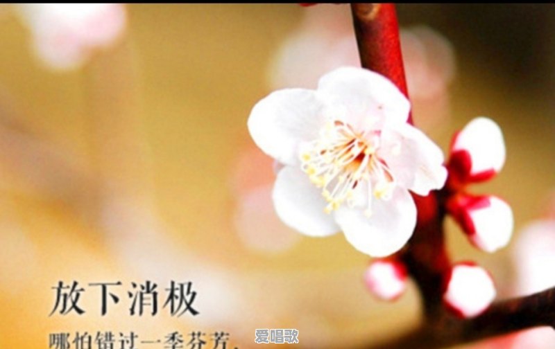 有没有恐怖的小秘密可以分享 有没有恐怖的小秘密可以分享 - 爱唱歌